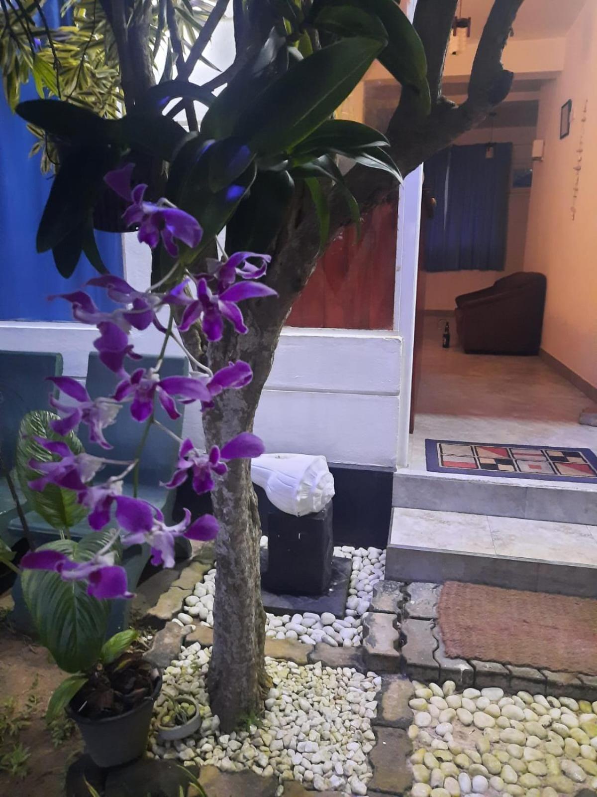 White Surfing Beach Resort Unawatuna Esterno foto